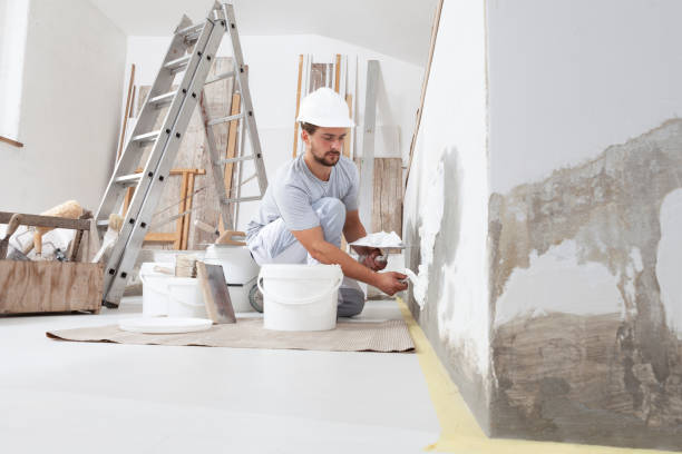 Best Residential Mold Inspection & Testing  in Centreville, VA