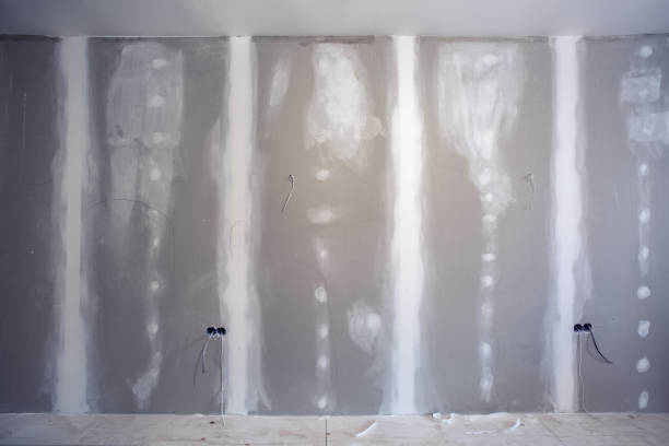 Mold Remediation for Vacation Homes in Centreville, VA